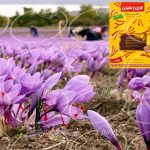 صادرات پودر زعفران نوین در بسته بندی ۲۰ عددی