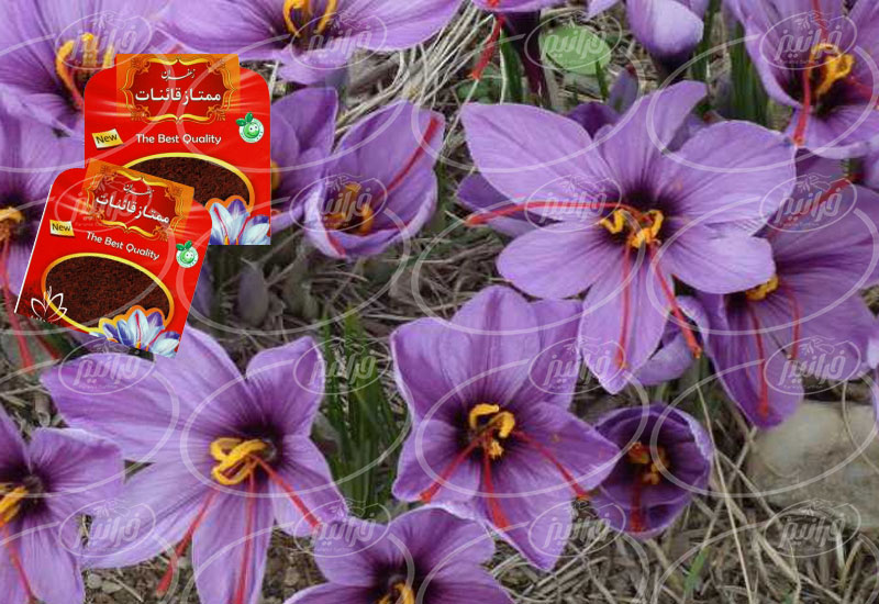 سایت زعفران قائنات مایع با برند گل سرخ