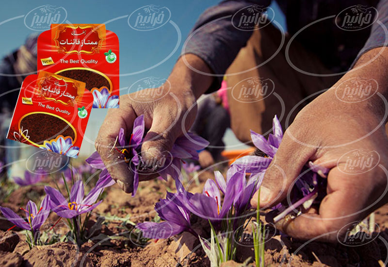 سایت زعفران قائنات مایع با برند گل سرخ